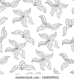 Seamless pattern with ornate coffee leaves, beans and branches. Vintage floral background. Vector isolated illustration.