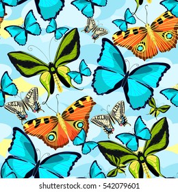 seamless pattern Ornithoptera paradisea, butterfly in the clouds. vector illustration
