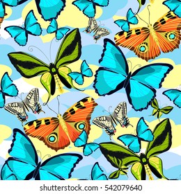 seamless pattern Ornithoptera paradisea, butterfly in the clouds  vector illustration