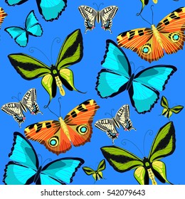 seamless pattern Ornithoptera paradisea, butterfly wings  a bird of paradise. vector illustration