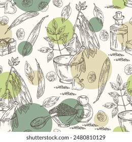 Seamless pattern with oroxylum indicum: oroxylum indicum plant, leaves, pod and oroxylum indicum seeds. Oil, soap and bath salt . Cosmetics and medical plant. Vector hand drawn illustration