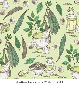 Seamless pattern with oroxylum indicum: oroxylum indicum plant, leaves, pod and oroxylum indicum seeds. Oil, soap and bath salt . Cosmetics and medical plant. Vector hand drawn illustration