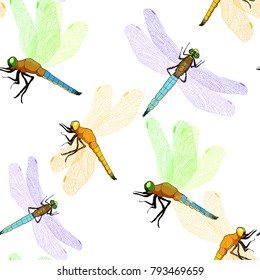 seamless pattern orthetrum cancellatum dragonfly trellis  vector illustration