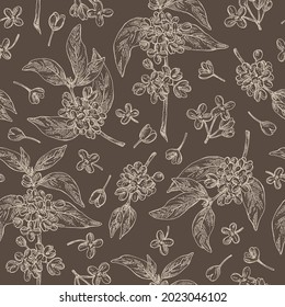 Seamless pattern with osmanthus: plant, leaves and osmanthus flowers. Cosmetic, perfumery and medical plant. Vector hand drawn illustration