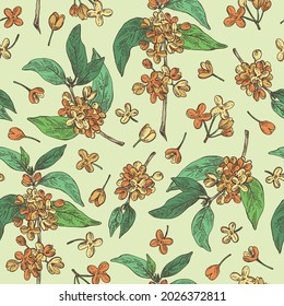 Seamless pattern with osmanthus: plant, leaves and osmanthus flowers. Cosmetic, perfumery and medical plant. Vector hand drawn illustration