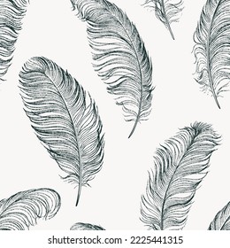 Seamless pattern of ostrich feathers hand-drawn.