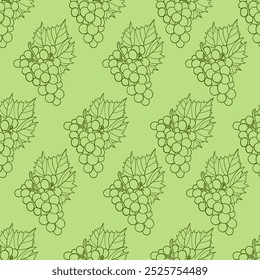 Seamless pattern with outline fruits bunch grapes on green background. Line drawing. Vector illustration.