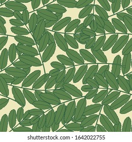 Seamless pattern with outline green leaves. Botanical wallpaper. Summer vintage leaf. Textile ornament. Design for fabric, textile print, wrapping paper. Vector illustration