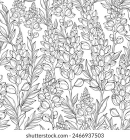 Seamless pattern with outline lupin flowers and leaves. Vector floral pattern with leaves and lupines flowers.