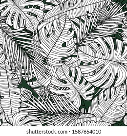 Seamless pattern with outline monstera line leaves. Tropical pattern, botanical leaf wallpaper. Exotic design for fabric, textile print, wrapping paper. Vector illustration