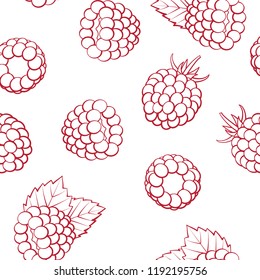 Seamless pattern - outline ripe red raspberries on white background