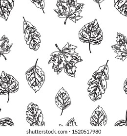 Seamless pattern of outlines autumn leaves of various trees