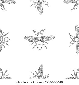 Seamless pattern of outlines decorative flies