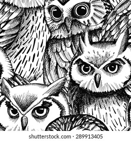Owl Black And White Images Stock Photos Vectors