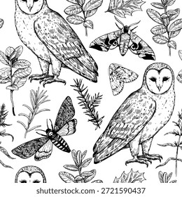 Patrón sin fisuras con búhos y polillas. Estampado de bosque mágico. Ilustración vectorial monocromática en estilo de grabado.