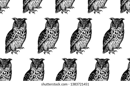 Seamless pattern with owls. Realistic birds. Vector illustration. Predatory forest birds. Sketch hand drawing. Black and white. Vintage. Template for the design of textiles, paper, wallpaper.