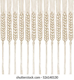 seamless pattern with painted spikelets of wheat, field ears of wheat, vector image