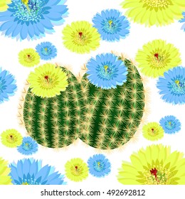 seamless pattern pair of cactus with flowers Spain vector illustration