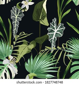 Seamless pattern with palm and exotic tropical leaves. Illustration on black background.	