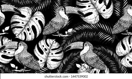Seamless pattern with palm leaves. Black and white background. Hand drawn vector illustration. Jungle pattern.