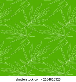 Seamless pattern Palm leaves on green background. Hand drawn Palm Leaves seamless pattern. Leaf background in linear style. vector eps10