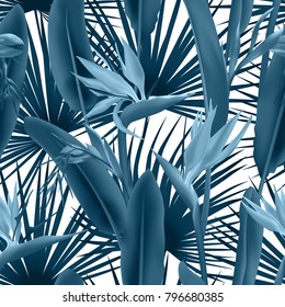 Seamless pattern with palm leaves and Strelitzia Reginae, bird of paradise,  crane flower, bromelia. South African flowers and palm background vector. Fabric, textile with tropical leaves and blossom.
