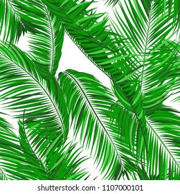 Seamless Pattern of Palm Leaves. Trendy Vector Tropical Background. Realistic Exotic Jungle Foliage in Modern Style. Tropic Seamless Pattern for Print, Paper, Fabric, Textile, Wallpaper, Wrapping.