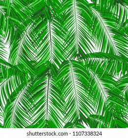 Seamless Pattern of Palm Leaves. Trendy Vector Tropical Background. Realistic Exotic Jungle Foliage in Modern Style. Tropic Seamless Pattern for Print, Paper, Fabric, Textile, Wallpaper, Wrapping.