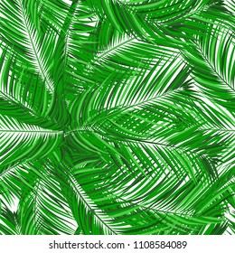 Seamless Pattern of Palm Leaves. Trendy Vector Tropical Background. Realistic Exotic Jungle Foliage in Modern Style. Tropic Seamless Pattern for Print, Paper, Fabric, Textile, Wallpaper, Wrapping.