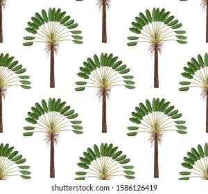 Seamless pattern with palm trees on white background. Simple vector ornament.