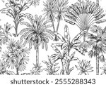 Seamless pattern with palm trees.Black and white hand drawn sketch.Foliage design.Tropical Hawaiian background. Vector botanical illustration.