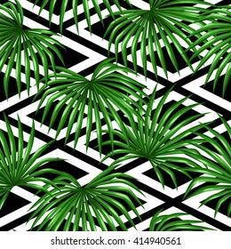 Seamless pattern with palms leaves. Decorative image tropical leaf of palm tree Livistona Rotundifolia. Background made without clipping mask. Easy to use for backdrop, textile, wrapping paper.