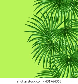 Seamless pattern with palms leaves. Decorative image tropical leaf of palm tree Livistona Rotundifolia. Background made without clipping mask. Easy to use for backdrop, textile, wrapping paper.