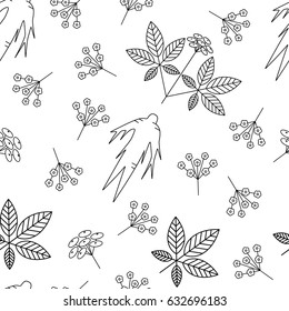 Seamless pattern with  Panax Ginseng.Vector illustration in line style.