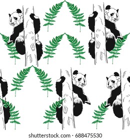 Seamless Pattern with Panda Bear sitting on a tree and green leaves of fern.