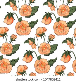 Seamless pattern with Pansy flowers on white background. Stock vector.