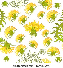 Seamless pattern for paper and textiles with dandelions. Ethnic and nature, floral, retro, tribal design element. Isolated vector background.