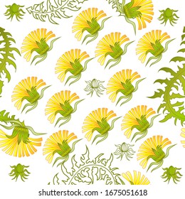 Patrón transparente para el papel y los textiles con dientes de león. Elemento de diseño étnico y natural, floral, retro, tribal. Fondo vectorial aislado.
