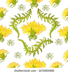 Seamless pattern for paper and textiles with dandelions. Ethnic and nature, floral, retro, tribal design element. Isolated vector background.