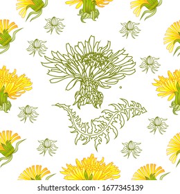 Seamless pattern for paper and textiles with dandelions. Ethnic and nature, floral, retro, tribal design element. Isolated vector background.