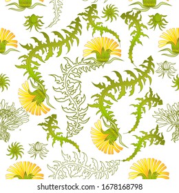 Seamless pattern for paper and textiles with dandelions. Ethnic and nature, floral, retro, tribal design element. Isolated vector background.