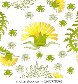 Patrón transparente para el papel y los textiles con dientes de león. Elemento de diseño étnico y natural, floral, retro, tribal. Fondo vectorial aislado.