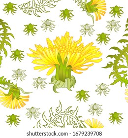 Seamless pattern for paper and textiles with dandelions. Ethnic and nature, floral, retro, tribal design element. Isolated vector background.