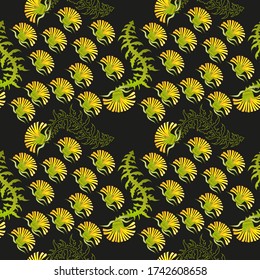 Seamless pattern for paper and textiles with dandelions. Ethnic and nature, floral, retro, tribal design element. Isolated vector background.