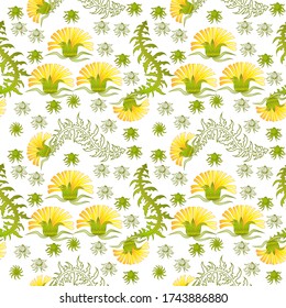 Seamless pattern for paper and textiles with dandelions. Ethnic and nature, floral, retro, tribal design element. Isolated vector background.