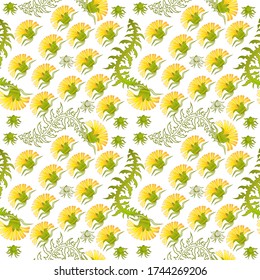 Seamless pattern for paper and textiles with dandelions. Ethnic and nature, floral, retro, tribal design element. Isolated vector background.