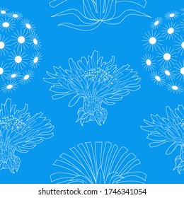 Seamless pattern for paper and textiles with dandelions. Ethnic and nature, floral, retro, tribal design element. Isolated vector background.