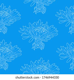 Seamless pattern for paper and textiles with dandelions. Ethnic and nature, floral, retro, tribal design element. Isolated vector background.
