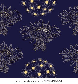 Seamless pattern for paper and textiles with dandelions. Ethnic and nature, floral, retro, tribal design element. Isolated vector background.