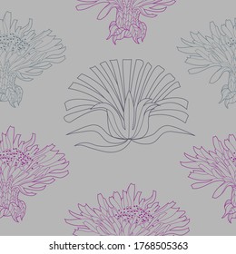 Seamless pattern for paper and textiles with dandelions. Ethnic and nature, floral, retro, tribal design element. Isolated vector background.